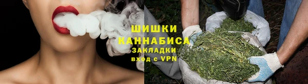 винт Лагань