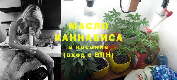 винт Лагань