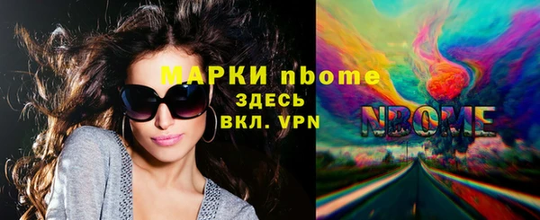винт Лагань