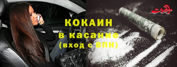 винт Лагань