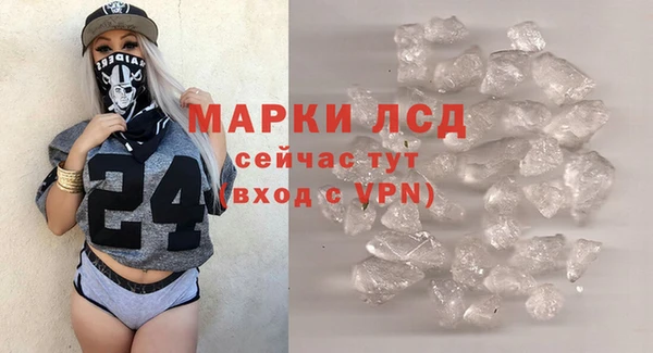 винт Лагань